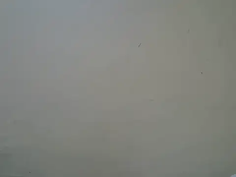 Talishabae online show from June 12, 6:38 pm