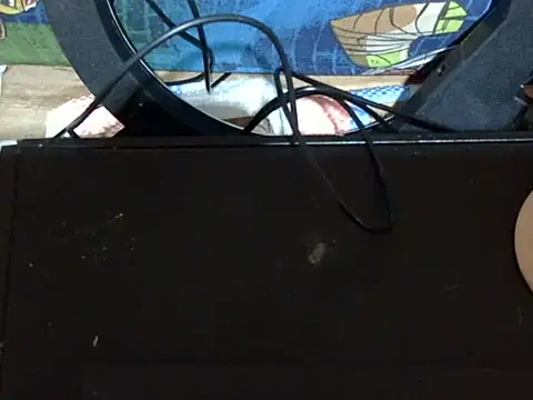 Snapshot of sweetcutey chatting on May 19, 6:31 am sweetcutey online show from May 19, 6:31 am
