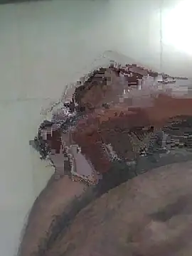 Nilantha198 online show from June 1, 1:39 am