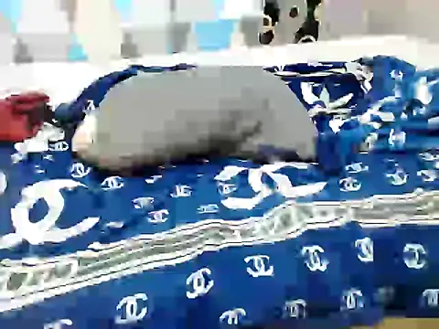 Snapshot of Trish_CurveCock chatting on June 5, 6:57 pm Trish CurveCock online show from June 5, 6:57 pm