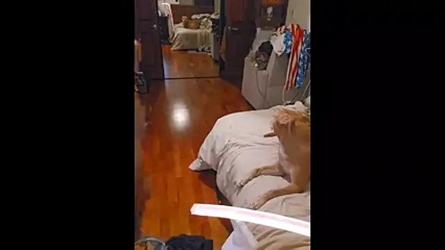 Snapshot of Clevername90 chatting on October 26, 1:50 am Clevername90 online show from October 26, 1:50 am