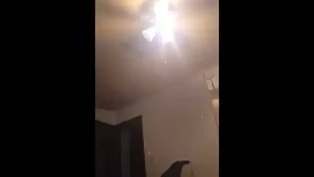 Snapshot of Clevername90 chatting on November 25, 11:05 pm Clevername90 online show from November 25, 11:05 pm