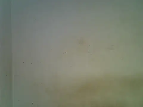 Snapshot of BIGASS_DIANAH chatting on May 23, 6:51 pm BIGASS DIANAH online show from May 23, 6:51 pm