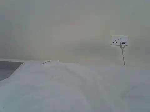 berrynova online show from May 29, 4:57 pm