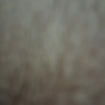 xandria09 online show from May 26, 1:58 am