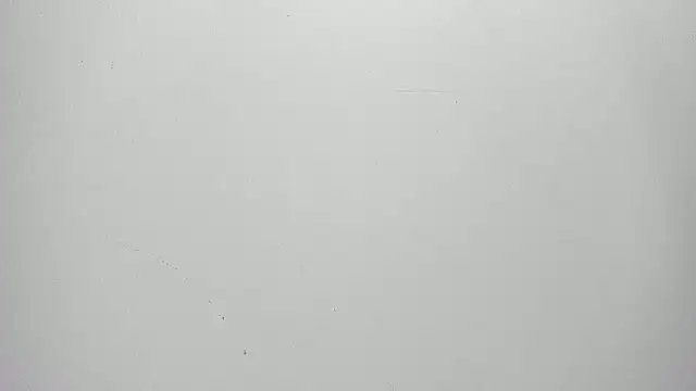emilyyrouse online show from July 9, 8:41 pm