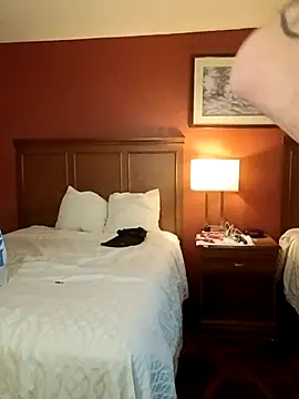 Wild dude online show from March 19, 3:06 am