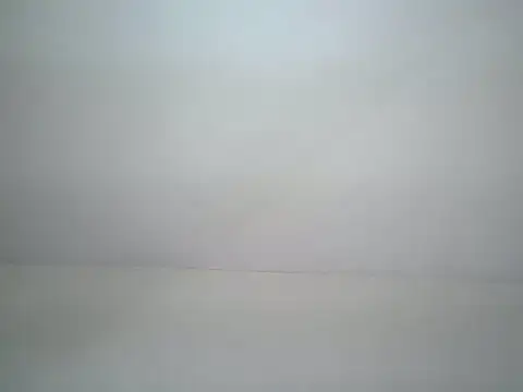wendy shancy online show from May 27, 2:13 pm