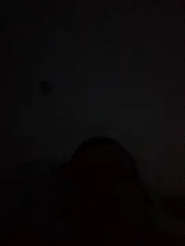 vermexit online show from May 31, 5:46 am