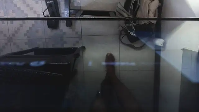 AshleySofiaThenison online show from May 29, 3:34 am
