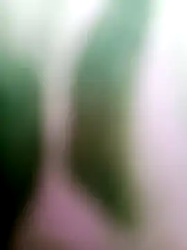 Cut means47 online show from July 5, 1:54 am