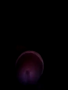 blanquito leche online show from July 29, 4:44 am