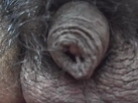 indiboy009 online show from March 7, 3:18 pm