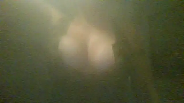 Snapshot of Miacarter1234 chatting on July 18, 8:23 am Miacarter1234 online show from July 18, 8:23 am
