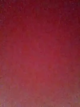 pricilanunes online show from July 6, 11:39 am