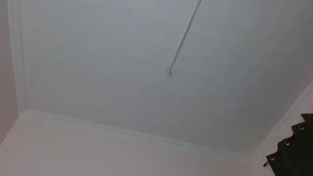Snapshot of amara_sanchez chatting on July 8, 1:01 pm amara sanchez online show from July 8, 1:01 pm