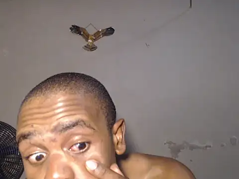 Frank X Husle online show from July 19, 8:27 pm