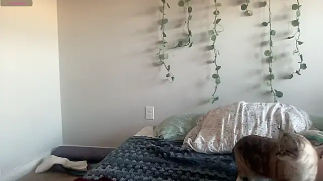 maddiliz online show from November 27, 9:48 pm