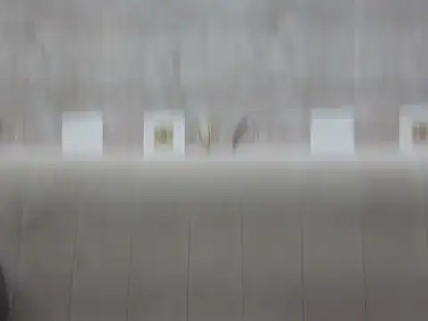 Snapshot of hey_darling_ chatting on June 12, 1:09 pm hey darling online show from June 12, 1:09 pm