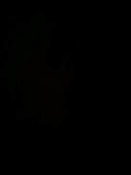 hook9sex online show from June 11, 4:53 am