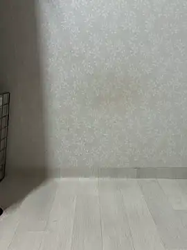 Snapshot of Aloe-2 chatting on July 14, 3:51 pm Aloe-2 online show from July 14, 3:51 pm