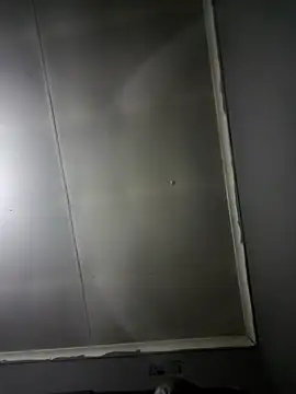 Rod Gorilla online show from July 28, 5:34 pm