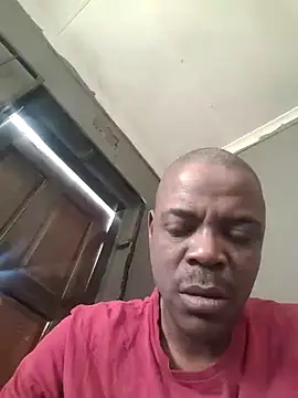 Rod Gorilla online show from August 4, 2:54 pm