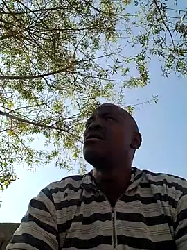 Rod Gorilla online show from July 6, 12:01 pm