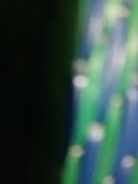 Sexy-kajal55 online show from August 5, 4:23 pm