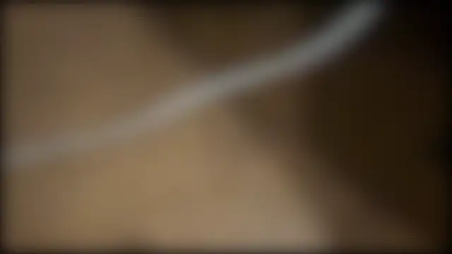 fuckr66669 online show from July 19, 10:34 am