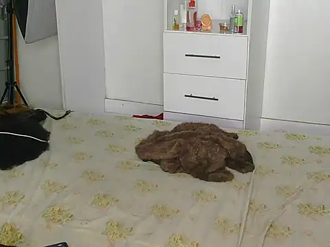 SexyLi  online show from July 30, 2:21 am
