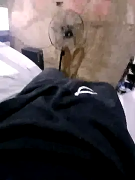 Ricapajarica online show from January 14, 3:15 pm