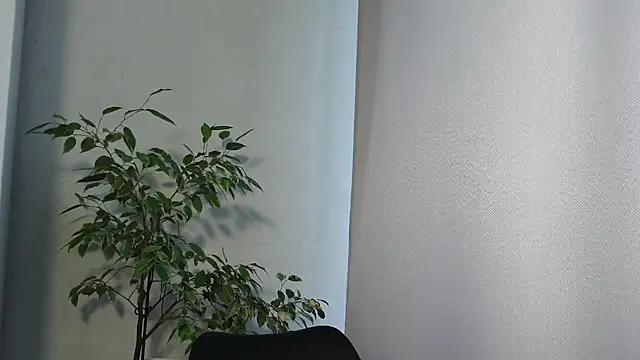 MariaTravel online show from July 24, 2:35 pm
