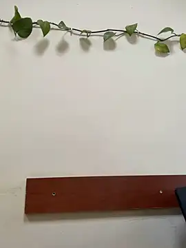 Snapshot of Elnur_464 chatting on June 21, 5:13 am Elnur 464 online show from June 21, 5:13 am