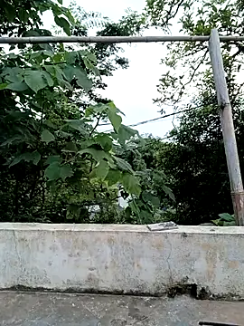 sena-cute online show from June 24, 11:57 pm