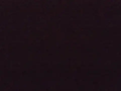 EllieTan online show from August 5, 5:34 am