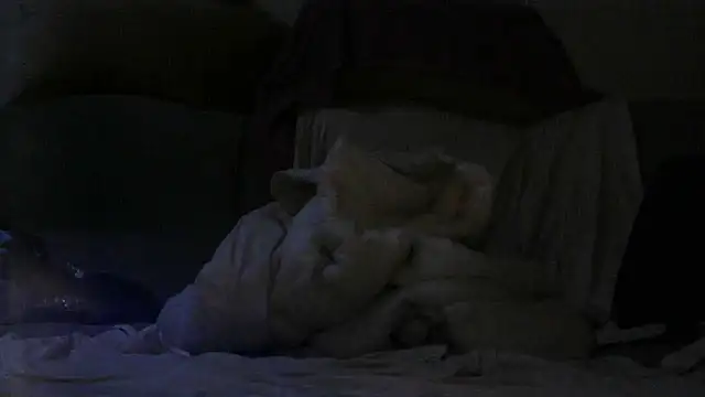 GariQNight online show from March 24, 5:57 pm