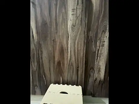 SatBull007 online show from November 23, 7:51 am