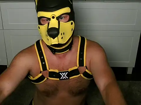 Snapshot of WildyLynx chatting on July 12, 11:38 pm WildyLynx online show from July 12, 11:38 pm