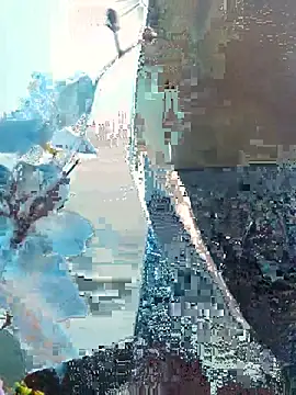 supreme boys online show from July 22, 3:14 pm