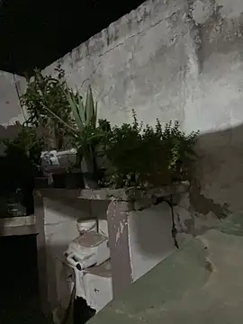 Locotisimo online show from July 24, 3:57 am