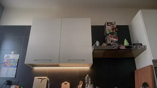 theitalianbear online show from January 10, 9:15 am