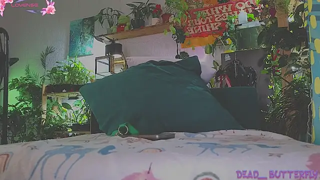 Snapshot of Dead_Butterfly chatting on March 14, 4:32 am Dead Butterfly online show from March 14, 4:32 am