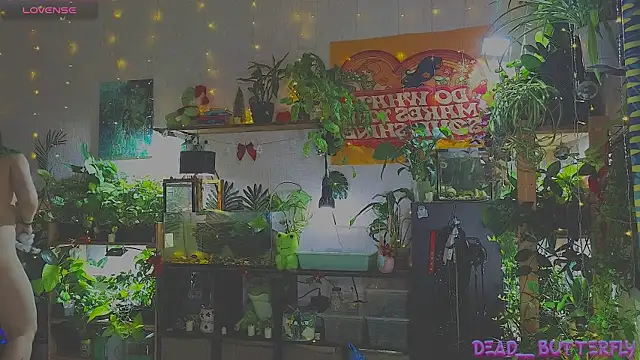 Snapshot of Dead_Butterfly chatting on January 12, 3:28 am Dead Butterfly online show from January 12, 3:28 am