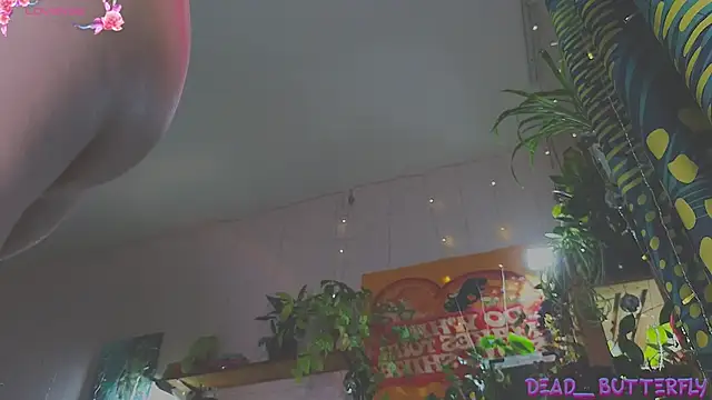 Snapshot of Dead_Butterfly chatting on February 8, 3:41 am Dead Butterfly online show from February 8, 3:41 am