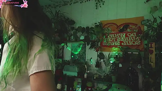 Dead Butterfly online show from November 2, 4:28 am