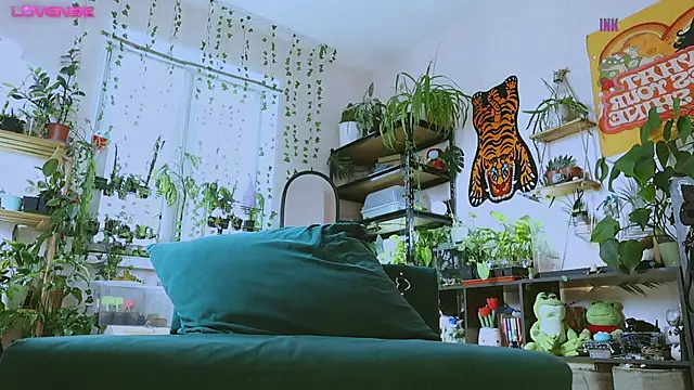 Dead Butterfly online show from April 4, 8:54 am