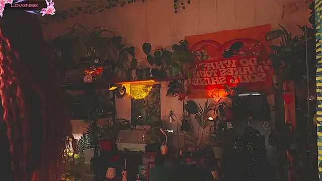 Dead Butterfly online show from November 18, 3:32 am