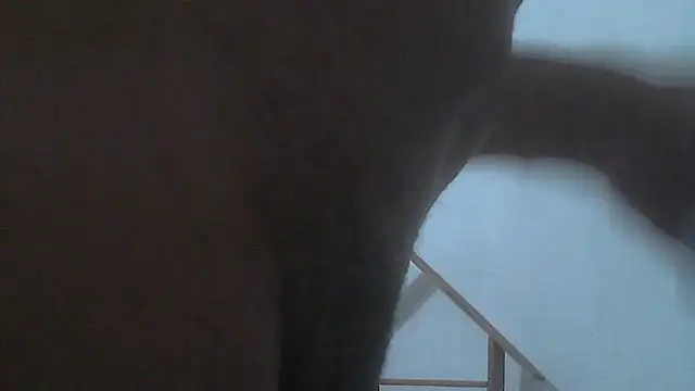 Snapshot of el_principe_hot chatting on November 28, 3:50 am el principe hot online show from November 28, 3:50 am