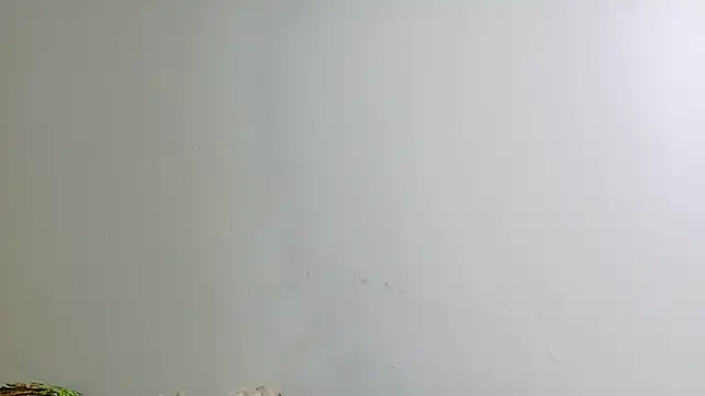 irisconde online show from December 16, 8:24 pm